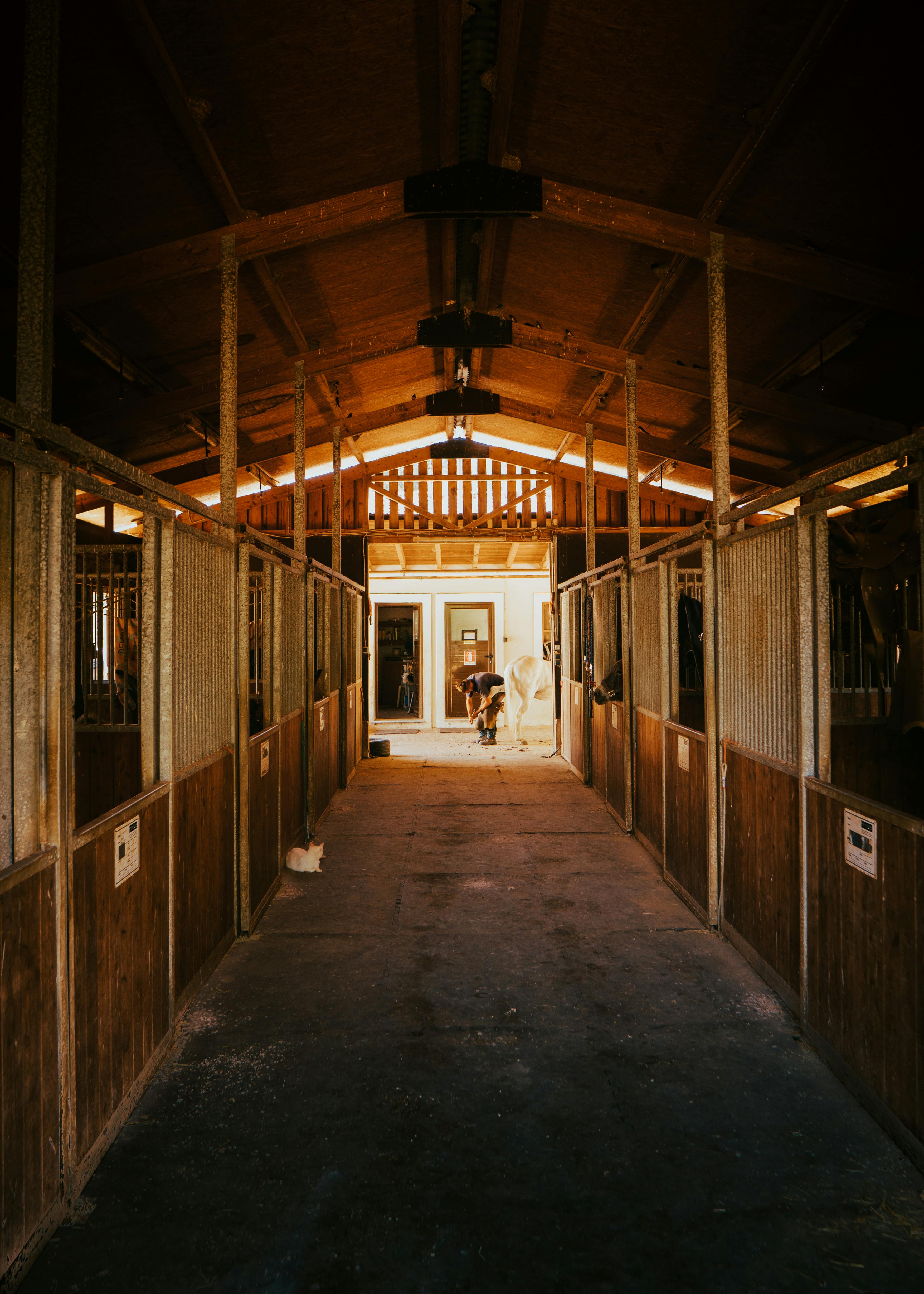 Stall